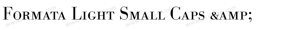 Formata Light Small Caps & Oldstyle Figures字体转换